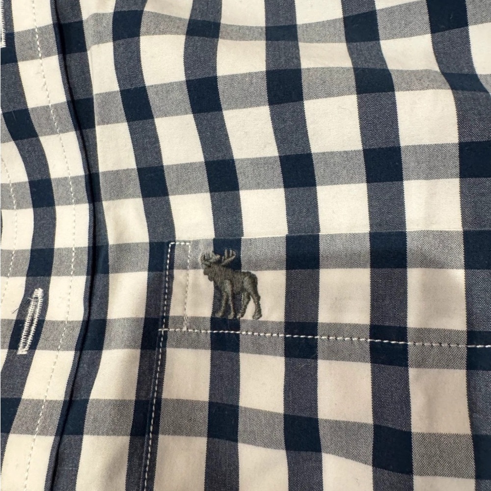 Abercrombie & Fitch Blue and White Casual Button Down Shirt